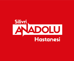 Anadolu referansı